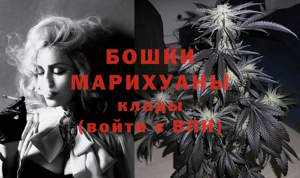мдпв Рославль