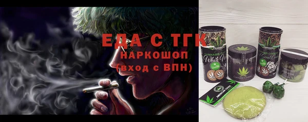 мдпв Рославль