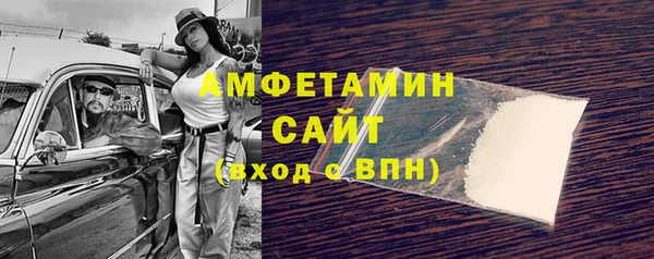 мдпв Рославль