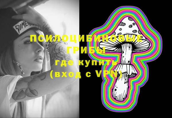 мдпв Рославль