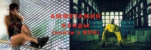 мдпв Рославль