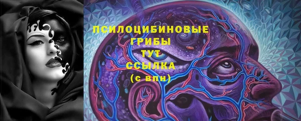 мдпв Рославль