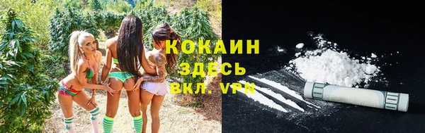 мдпв Рославль