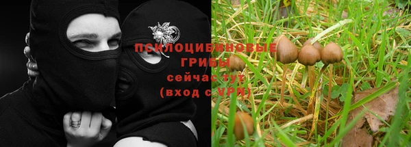 соль курить ск Ростов
