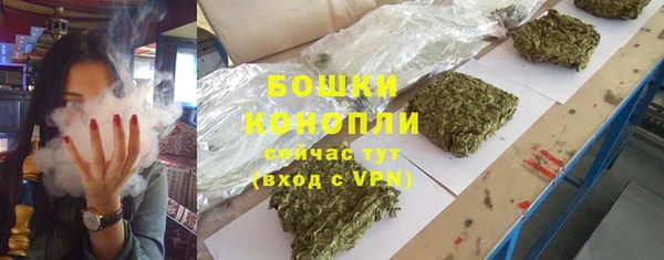 мдпв Рославль