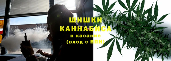 мдпв Рославль